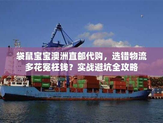 袋鼠宝宝澳洲直邮代购，选错物流多花冤枉钱？实战避坑全攻略