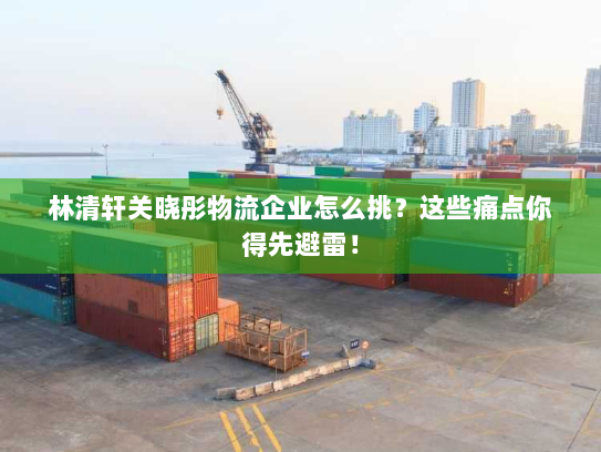 林清轩关晓彤物流企业怎么挑？这些痛点你得先避雷！