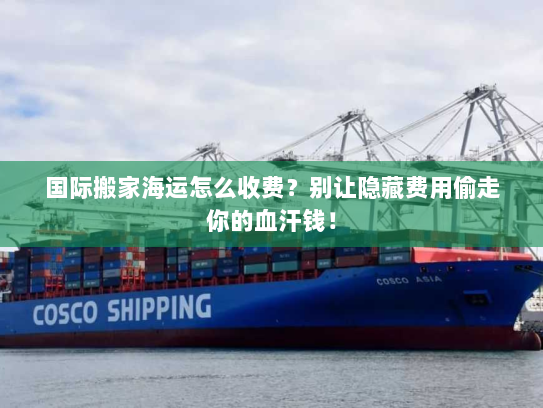 国际搬家海运怎么收费？别让隐藏费用偷走你的血汗钱！