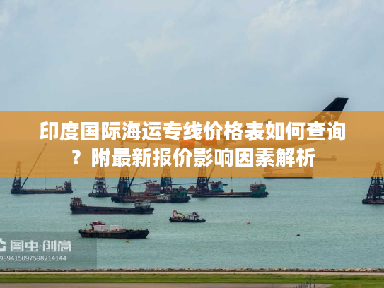 印度国际海运专线价格表如何查询？附最新报价影响因素解析