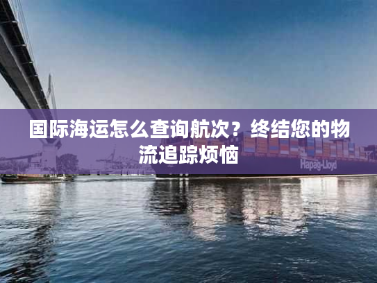 国际海运怎么查询航次？终结您的物流追踪烦恼