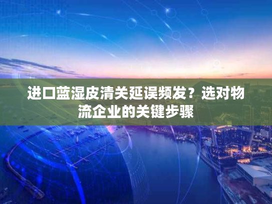 进口蓝湿皮清关延误频发？选对物流企业的关键步骤