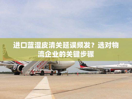 进口蓝湿皮清关延误频发？选对物流企业的关键步骤