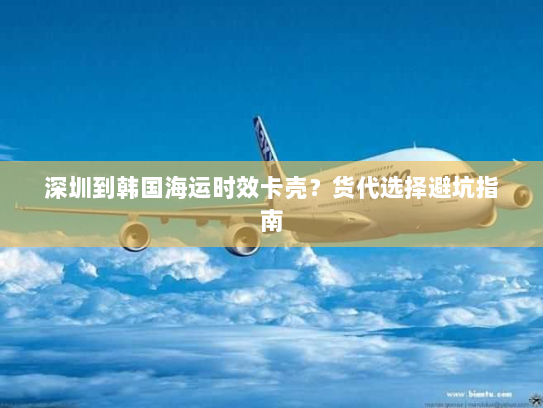 深圳到韩国海运时效卡壳?货代选择避坑指南 深圳到韩国海运时效卡壳?货代选择避坑指南