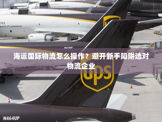 海运国际物流怎么操作？避开新手陷阱选对物流企业