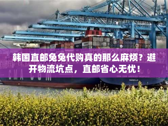 韩国直邮兔兔代购真的那么麻烦?避开物流坑点,直邮省心无忧! 韩国直邮兔兔代购真的那么麻烦?避开物流坑点,直邮省心无忧!
