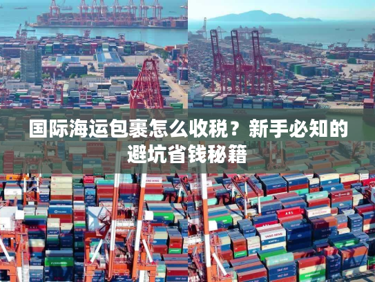国际海运包裹怎么收税?新手必知的避坑省钱秘籍 国际海运包裹怎么收税?新手必知的避坑省钱秘籍