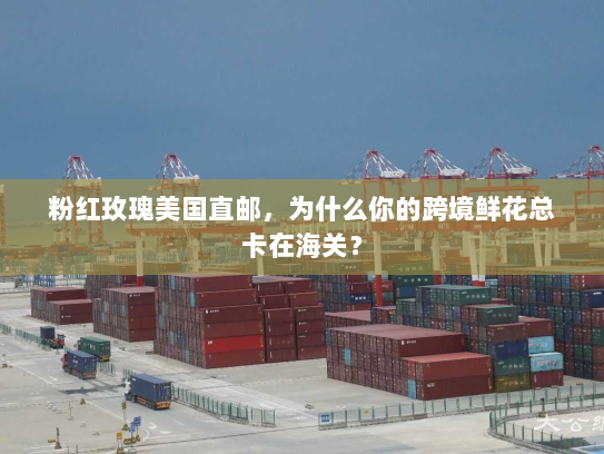 粉红玫瑰美国直邮,为什么你的跨境鲜花总卡在海关? 粉红玫瑰美国直邮,为什么你的跨境鲜花总卡在海关?