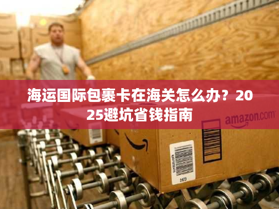 海运国际包裹卡在海关怎么办？2025避坑省钱指南