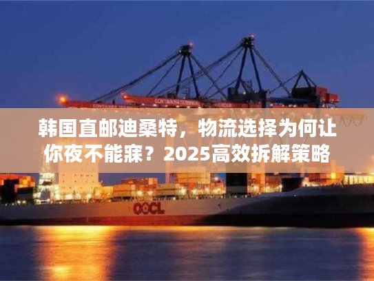 韩国直邮迪桑特，物流选择为何让你夜不能寐？2025高效拆解策略