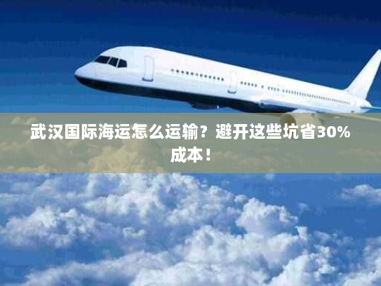 武汉国际海运怎么运输？避开这些坑省30%成本！