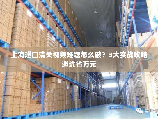 上海进口清关视频难题怎么破？3大实战攻略避坑省万元