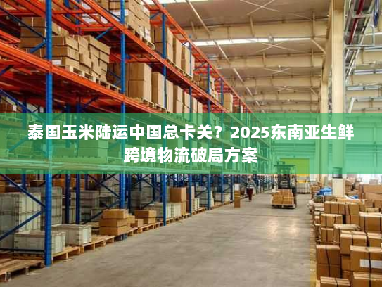 泰国玉米陆运中国总卡关？2025东南亚生鲜跨境物流破局方案