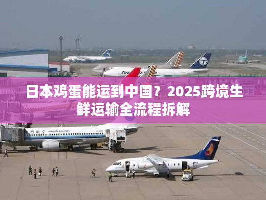 日本鸡蛋能运到中国?2025跨境生鲜运输全流程拆解 日本鸡蛋能运到中国?2025跨境生鲜运输全流程拆解