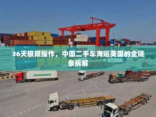 36天极限操作,中国二手车海运美国的全链条拆解 36天极限操作,中国二手车海运美国的全链条拆解