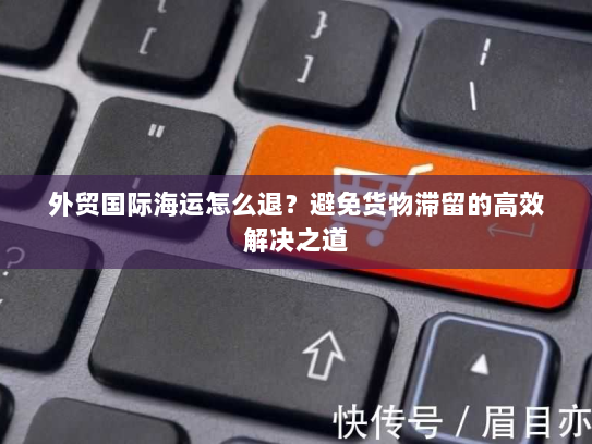 外贸国际海运怎么退？避免货物滞留的高效解决之道