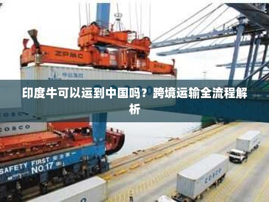 印度牛可以运到中国吗?跨境运输全流程解析 印度牛可以运到中国吗?跨境运输全流程解析
