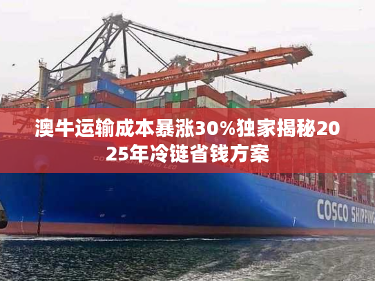 澳牛运输成本暴涨30%独家揭秘2025年冷链省钱方案