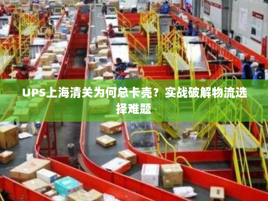 UPS上海清关为何总卡壳？实战破解物流选择难题
