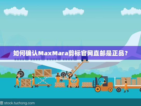 如何确认MaxMara剪标官网直邮是正品？