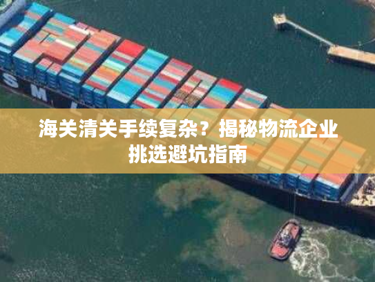 海关清关手续复杂？揭秘物流企业挑选避坑指南