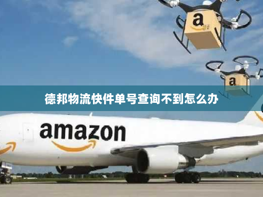 德邦物流快件单号查询不到怎么办 德邦物流快件单号查询不到怎么办