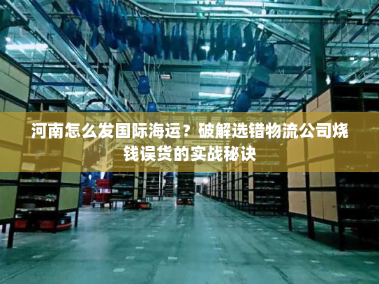 河南怎么发国际海运？破解选错物流公司烧钱误货的实战秘诀