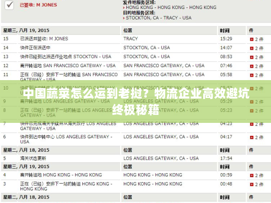 中国蔬菜怎么运到老挝?物流企业高效避坑终极秘籍 中国蔬菜怎么运到老挝?物流企业高效避坑终极秘籍