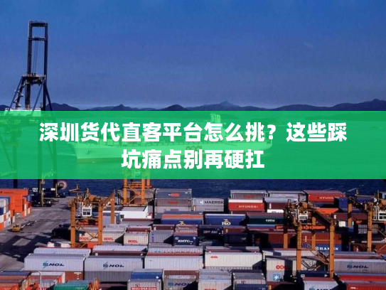 深圳货代直客平台怎么挑？这些踩坑痛点别再硬扛