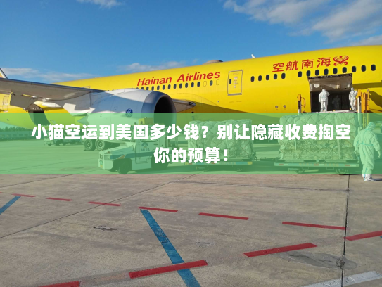 小猫空运到美国多少钱?别让隐藏收费掏空你的预算! 小猫空运到美国多少钱?别让隐藏收费掏空你的预算!