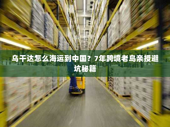 乌干达怎么海运到中国？7年跨境老鸟亲授避坑秘籍