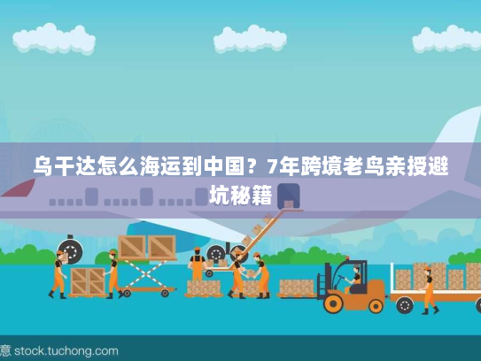 乌干达怎么海运到中国？7年跨境老鸟亲授避坑秘籍