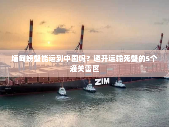 缅甸螃蟹能运到中国吗?避开运输死蟹的5个通关雷区 缅甸螃蟹能运到中国吗?避开运输死蟹的5个通关雷区