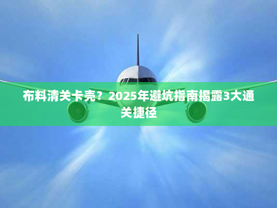 布料清关卡壳？2025年避坑指南揭露3大通关捷径