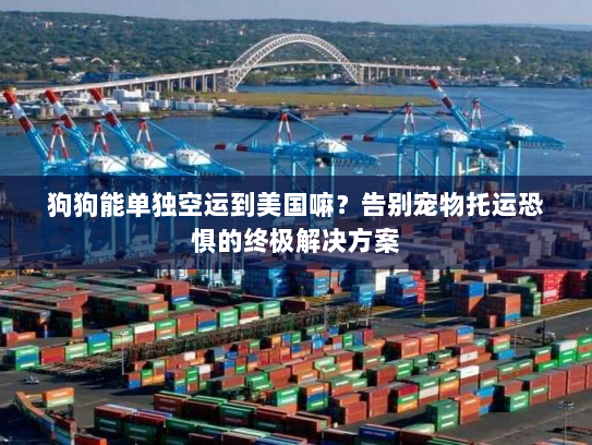 狗狗能单独空运到美国嘛？告别宠物托运恐惧的终极解决方案