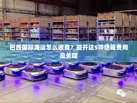 巴西国际海运怎么收费？避开这5项隐藏费用是关键
