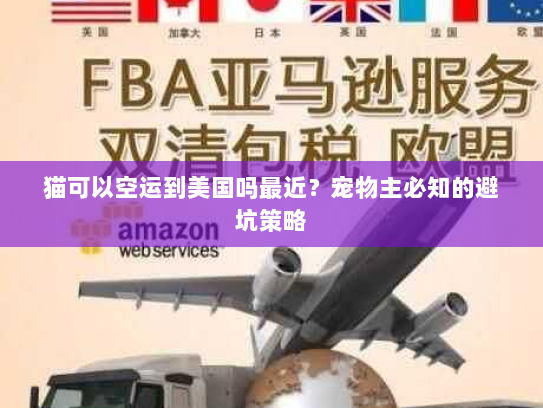 猫可以空运到美国吗最近?宠物主必知的避坑策略 猫可以空运到美国吗最近?宠物主必知的避坑策略