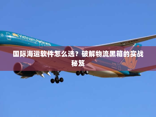 国际海运软件怎么选？破解物流黑箱的实战秘笈