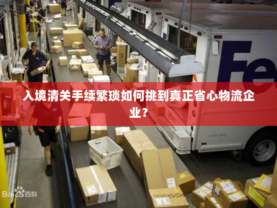 入境清关手续繁琐如何挑到真正省心物流企业? 入境清关手续繁琐如何挑到真正省心物流企业?