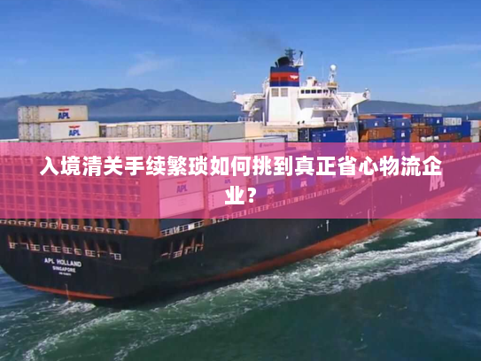 入境清关手续繁琐如何挑到真正省心物流企业? 入境清关手续繁琐如何挑到真正省心物流企业?