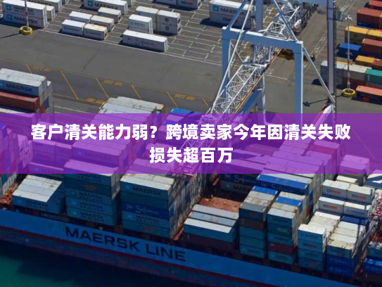 客户清关能力弱?跨境卖家今年因清关失败损失超百万 客户清关能力弱?跨境卖家今年因清关失败损失超百万