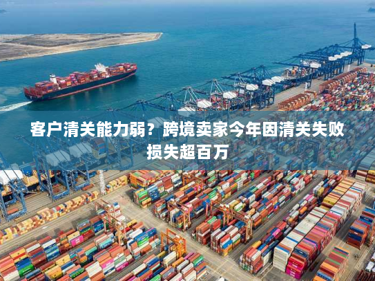 客户清关能力弱?跨境卖家今年因清关失败损失超百万 客户清关能力弱?跨境卖家今年因清关失败损失超百万