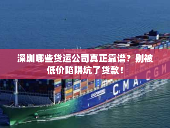 深圳哪些货运公司真正靠谱？别被低价陷阱坑了货款！