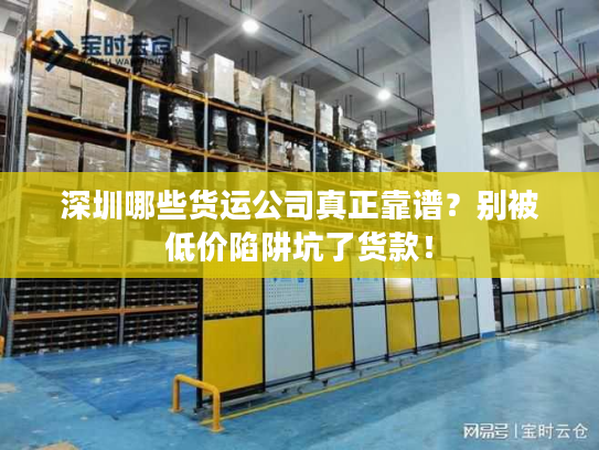 深圳哪些货运公司真正靠谱？别被低价陷阱坑了货款！