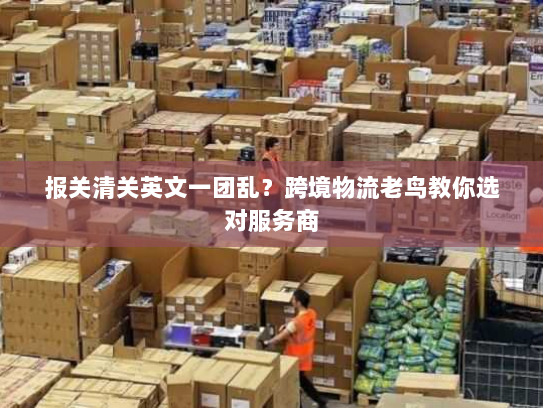 报关清关英文一团乱？跨境物流老鸟教你选对服务商