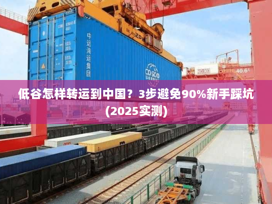 低谷怎样转运到中国？3步避免90%新手踩坑(2025实测)