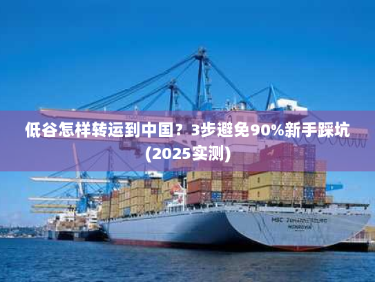 低谷怎样转运到中国？3步避免90%新手踩坑(2025实测)