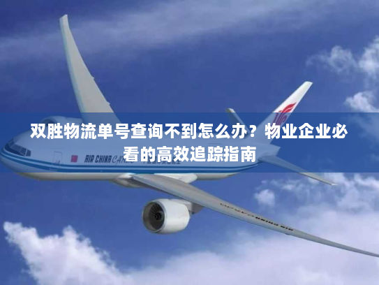 双胜物流单号查询不到怎么办?物业企业必看的高效追踪指南 双胜物流单号查询不到怎么办?物业企业必看的高效追踪指南