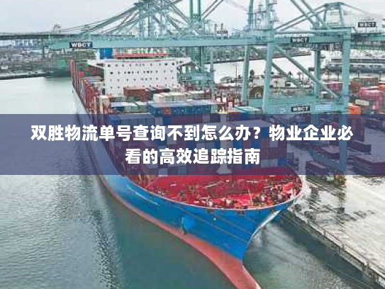 双胜物流单号查询不到怎么办?物业企业必看的高效追踪指南 双胜物流单号查询不到怎么办?物业企业必看的高效追踪指南