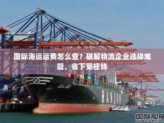 国际海运运费怎么查?破解物流企业选择难题,省下冤枉钱 国际海运运费怎么查?破解物流企业选择难题,省下冤枉钱